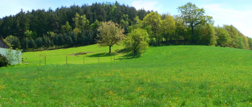 sieber-urlaub-ausblick-garten