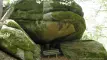 sehenswertes-falkenstein-felsenpark-froschmaul-felsen-1600